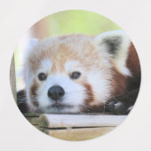 Étiquettes Panda rouge (Design 1)