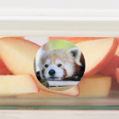 Étiquettes Panda rouge (Apposé)