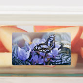 Étiquettes Papillon bleu (Apposé)