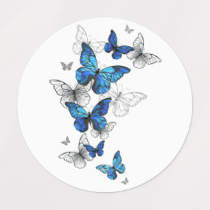 Étiquettes Papillons volants bleus Morpho