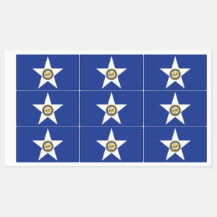 Étiquettes patriotiques avec drapeau de Houston Ci