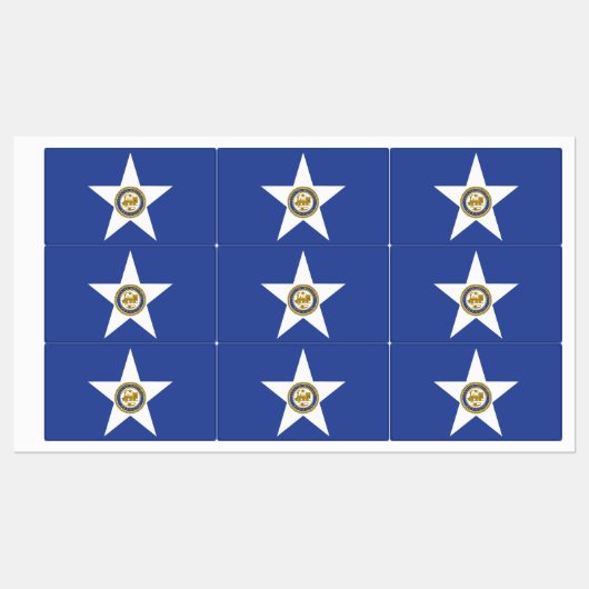 Étiquettes patriotiques avec drapeau de Houston Ci (Feuille)