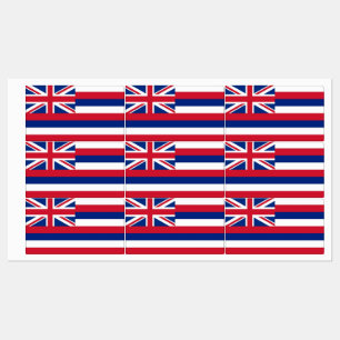 Étiquettes patriotiques avec drapeau de l'État d'H