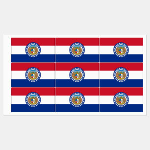 Étiquettes patriotiques avec drapeau de l'État du