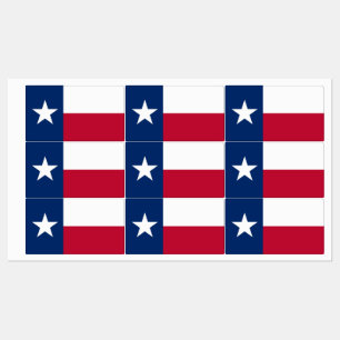 Étiquettes patriotiques avec drapeau du Texas Stat