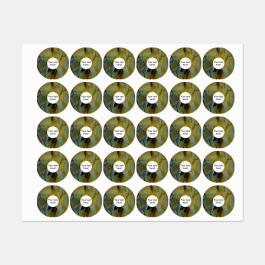 Étiquettes Peinture d'épluchage (Feuille)