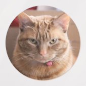 Étiquettes Penny (Design 2)