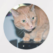 Étiquettes Penny (Design 1)