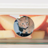 Étiquettes Penny (Apposé)