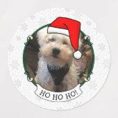 Étiquettes Personnalisé Trois Photo Animaux de Noël Santa Hat (Design 1)