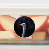 Étiquettes Photographie d'autruche (Apposé)