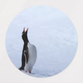 Étiquettes Pingouin Gentoo (Design 1)