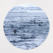 Étiquettes Pingouin volant (Design 1)