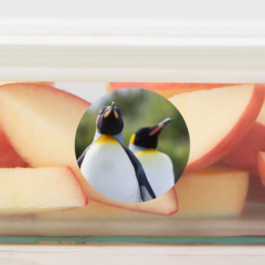 Étiquettes Pingouins (Apposé)