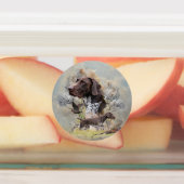 Étiquettes Pointeur court allemand (Apposé)