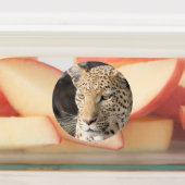 Étiquettes Portrait de Léopard (Apposé)