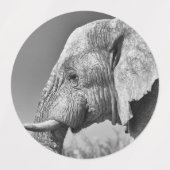 Étiquettes Portrait d'éléphant (Design 2)