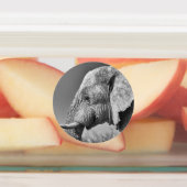 Étiquettes Portrait d'éléphant (Apposé)