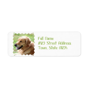 Étiquettes postales de chiot de golden retriever