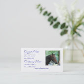 Étiquettes postales magnifiques de cheval de (Debout devant)