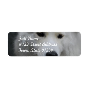 Étiquettes postales mignonnes de Samoyed