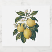 Étiquettes Pour Bouteilles De Liqueur Citron vintage (Étiquettes simples)