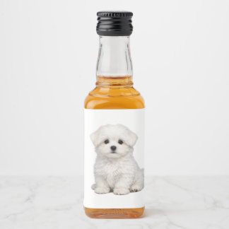 Étiquettes Pour Bouteilles De Liqueur Portrait de chiot maltais blanc et duveteux Amateu