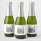 ÉTIQUETTES POUR BOUTEILLES DE VIN MOUSSEUX さなやにじ 薄明るい水色のお部屋の本棚のそばで座る素足の女性のイラスト (Bouteilles)