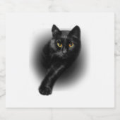 Étiquettes Pour Bouteilles De Vin Mousseux Black Cat Yellow Eyes (Étiquettes simples)