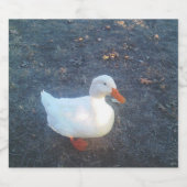 Étiquettes Pour Bouteilles De Vin Mousseux Canard (Étiquettes simples)