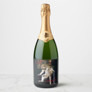 Étiquettes Pour Bouteilles De Vin Mousseux Je bois, donc je suis !