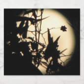 Étiquettes Pour Bouteilles De Vin Mousseux Lune (Étiquettes simples)