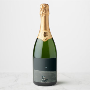 Étiquettes Pour Bouteilles De Vin Mousseux Lune Apollo NASA Lunar Lander et Terre