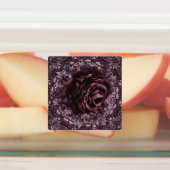 Étiquettes Rose Mandala (Apposé)