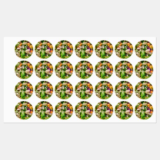 Étiquettes Salade mixte (Feuille)