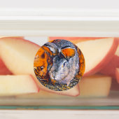 Étiquettes smartmix animal- lapin (Apposé)