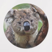 Étiquettes Smartmix Animaux 1220 (Design 1)