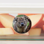 Étiquettes Smartmix Animaux 1220 (Apposé)