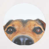 Étiquettes Stickers/etiquetas con imagenes de perritos (Design 2)