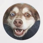 Étiquettes Stickers/etiquetas con imagenes de perritos (Design 1)