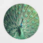 Étiquettes Strut Peacock (Design 1)