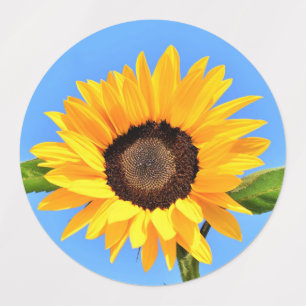 Étiquettes Tournesol jaune contre soleil sur ciel bleu - ét