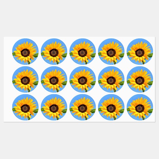 Étiquettes Tournesol jaune contre soleil sur le ciel bleu Éti (Feuille)