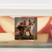 Étiquettes Triplets Foxy (Apposé)