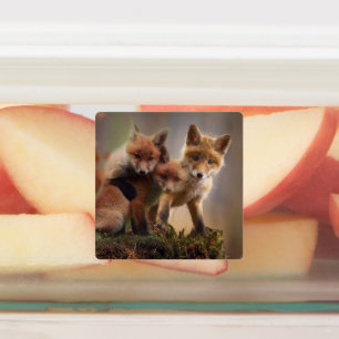 Étiquettes Triplets Foxy