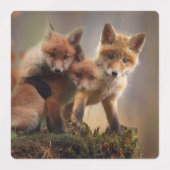 Étiquettes Triplets Foxy (Design 2)