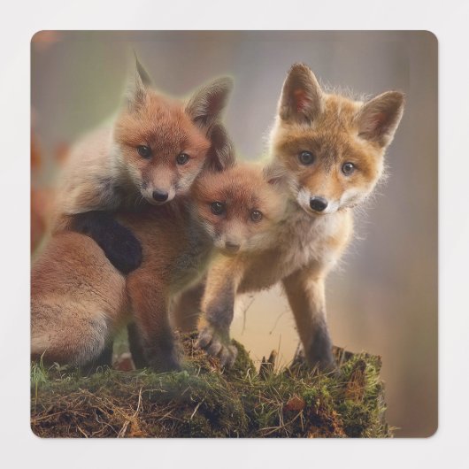 Étiquettes Triplets Foxy (Design 2)