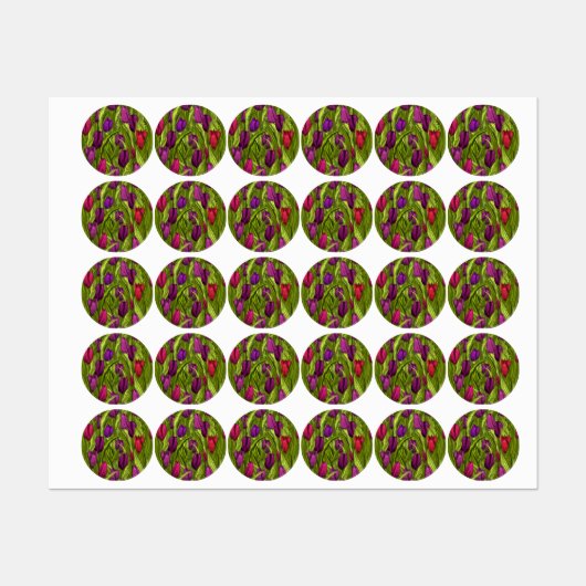 Étiquettes Tulipes (Feuille)