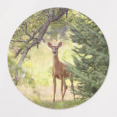Étiquettes Un cerf solitaire (Design 2)