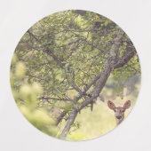 Étiquettes Un cerf solitaire (Design 1)